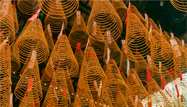 ベトナム観光スポット写真